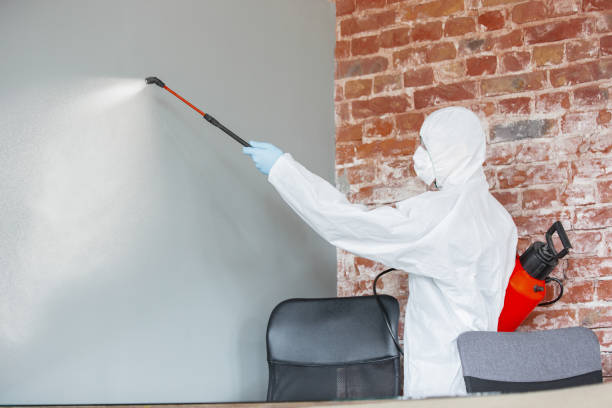 Best Mold Documentation for Insurance Claims  in Welch, WV