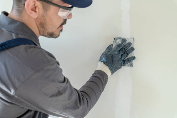 Best Mold Odor Removal Services  in Welch, WV