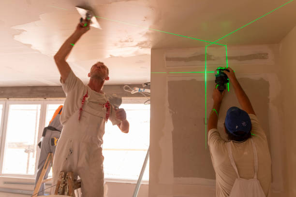 Best Mold Remediation for Healthcare Facilities  in Welch, WV
