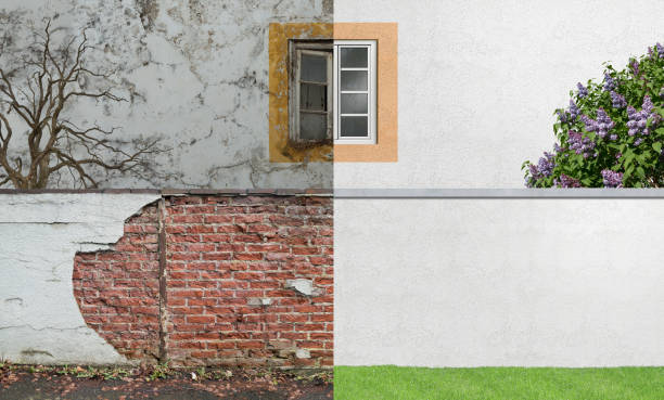 Environmental Consulting for Mold Prevention in Welch, WV